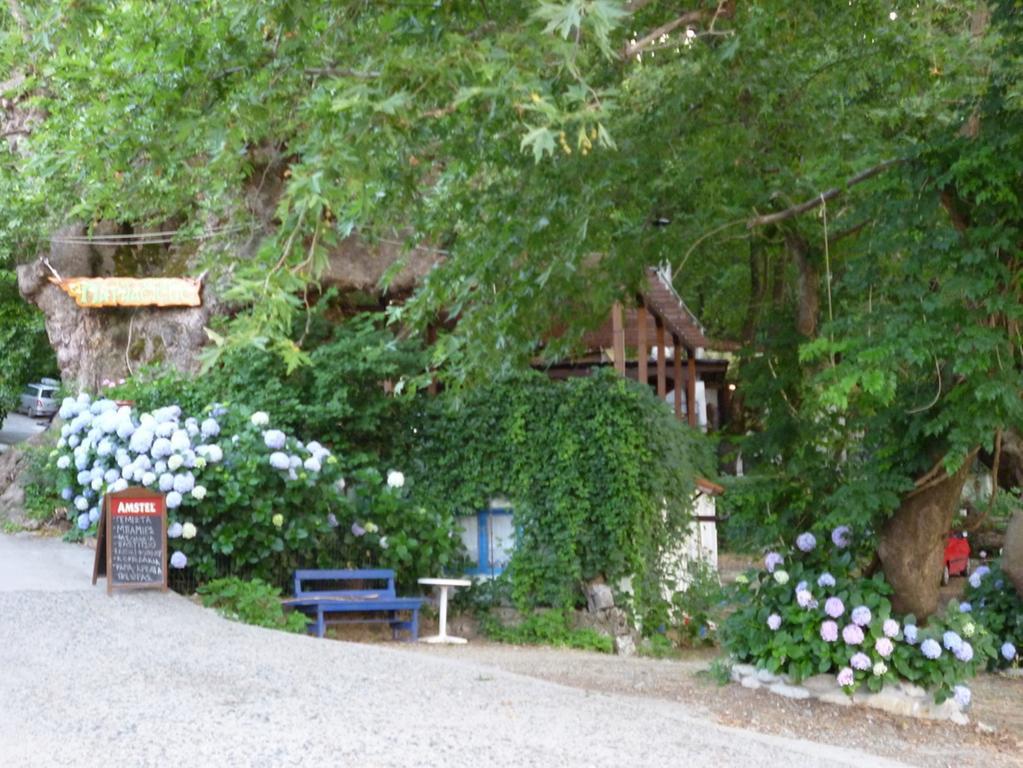Hotel Galini Samothraki Therma  Exteriér fotografie